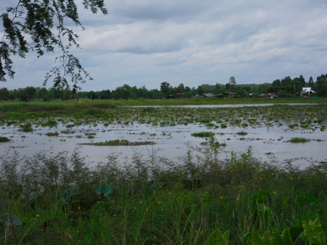 

 [center] [b]  ถ้ามีเรือไม่เหลือ ปีหน้า ไม่พลาดดดด [/b][/center]

