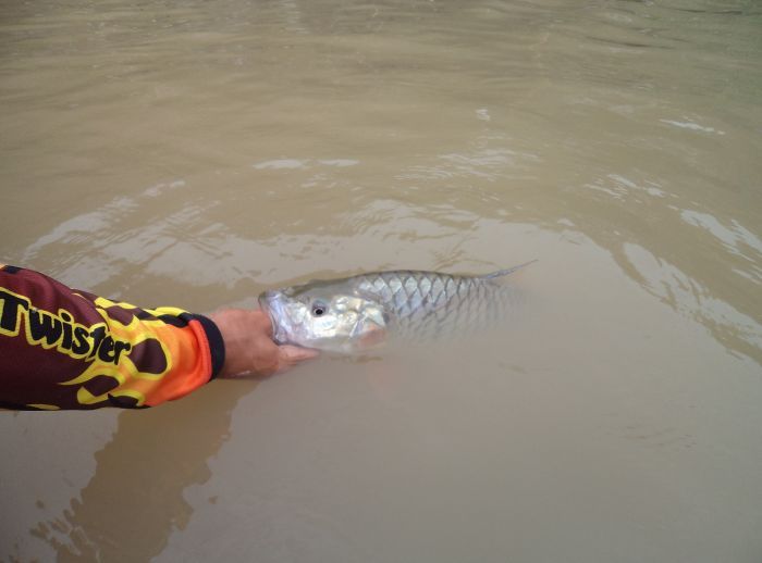  Catch & Release :smile: