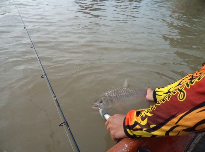 Catch & Release  :smile: