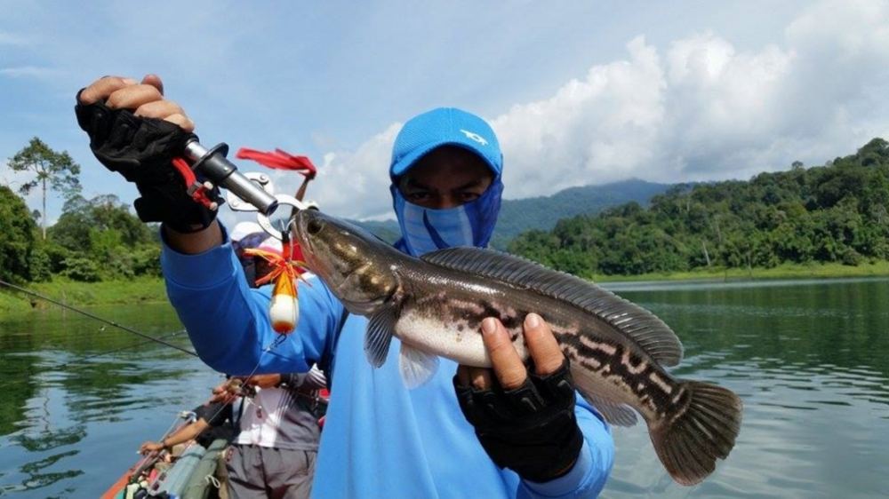 พอได้เห็นจ้าวชะโดยุบ้างแต่ตัวไม่ค่อยใหญ่