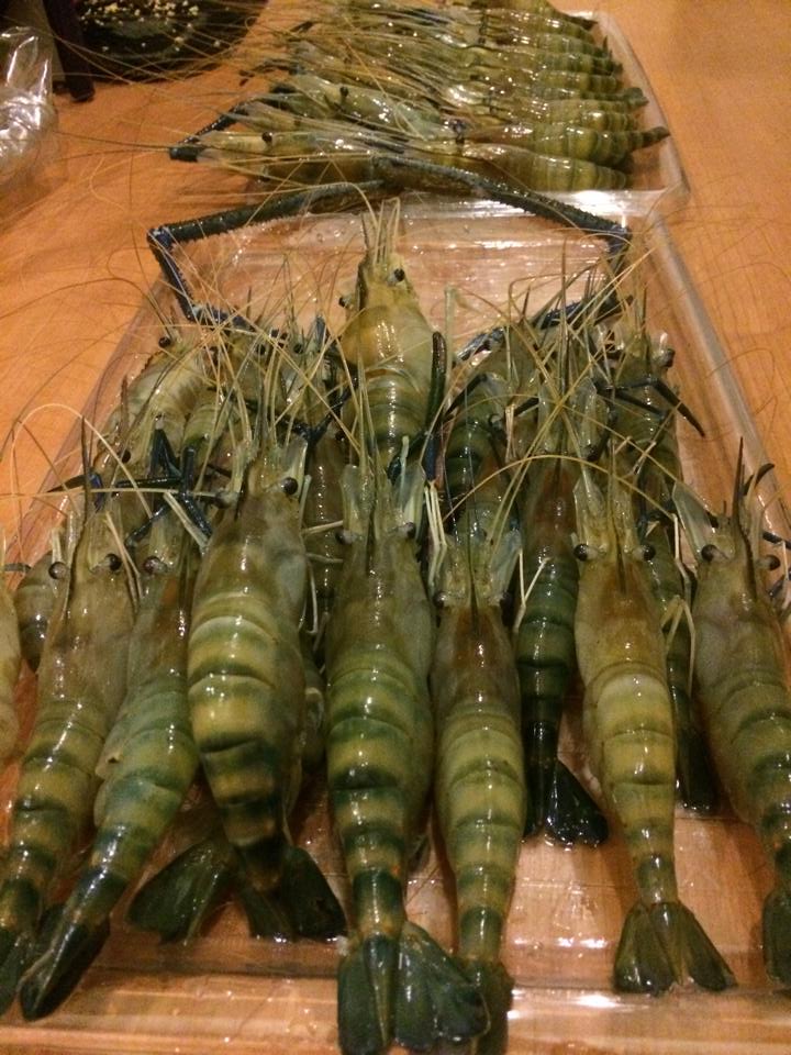 ภาพรวมกุ้งคะไม่ต่อยได้ถ่ายเท่าไหร ... ขอบคุณ คะที่ติดตามชม.... สู้ๆๆนะคะ
