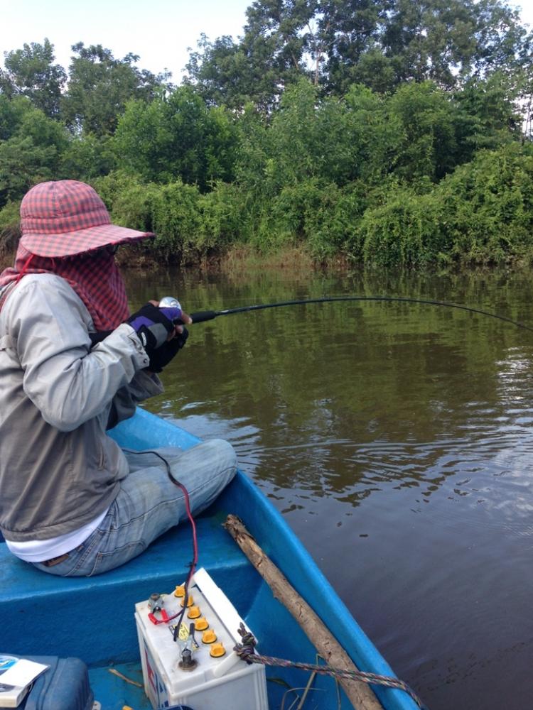     ตัวนี้เป็นปลากัดรังครับ   แรงดีมากมุดใต้ท้องเรือหลายรอบมากๆ :love: :love: :love: