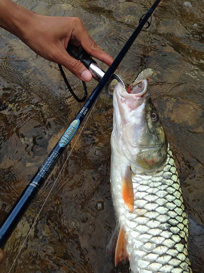  [center]คันนี้เริ่มติดมือ ปานกลาง ครอบคลุม ไปไหนไปกัน St.Croix Legend Inshore 7' 8-17lb.[/center]