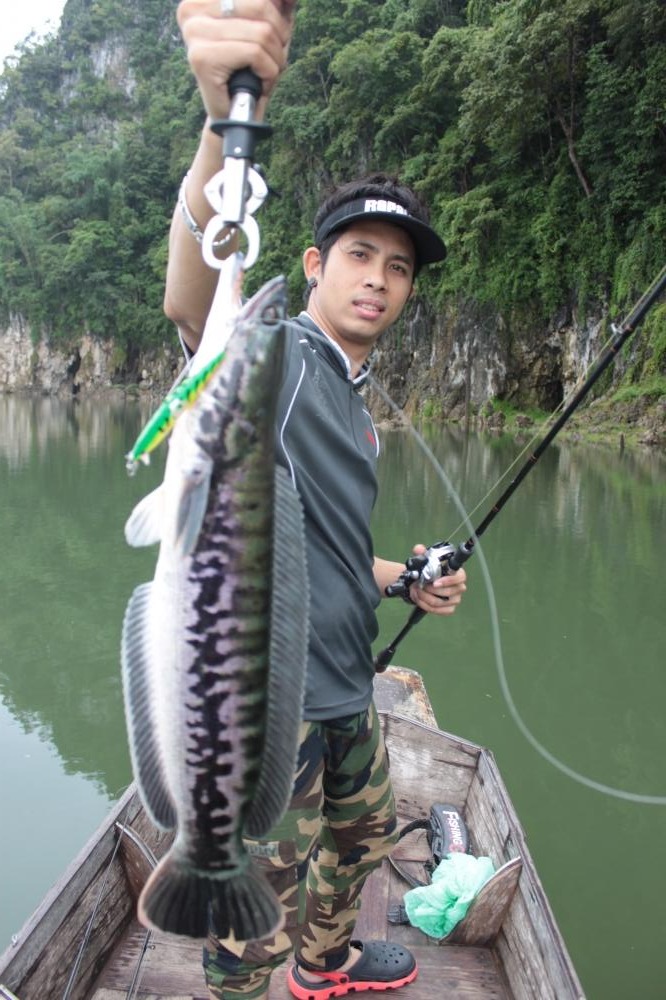 สวยๆ เต็มคำครับ ตีแปะยัดขอบ Rapala Flat Rap 10 FTG :cheer: :cheer: