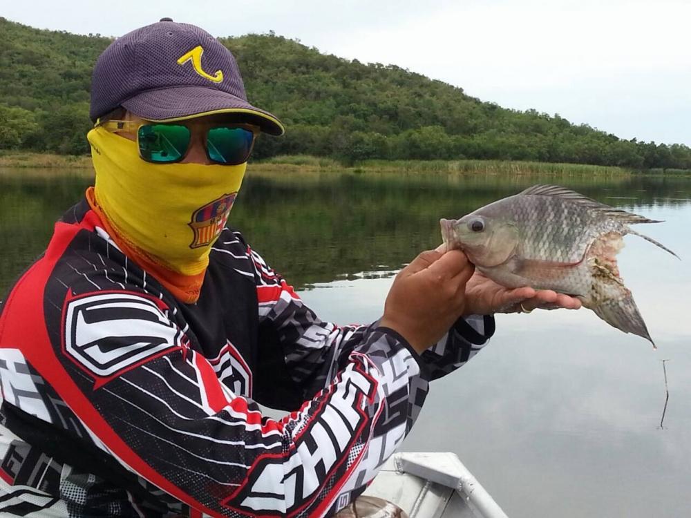 มีแวะโดนของใหญ่แน่  ทั้งแม่คลอก ปลาป่า ปลากัดรัง  ช่วงนี้ดุจิงๆ
 :cool: :cool: :cool: :cool: :cool: