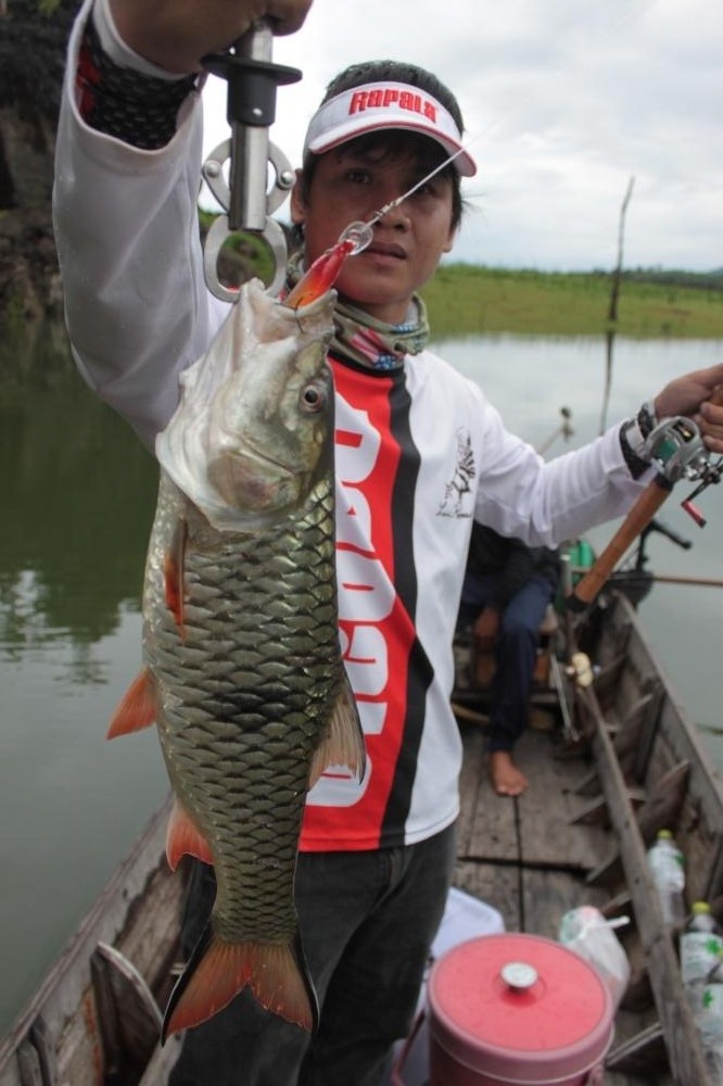 สวยงามครับ Rapala