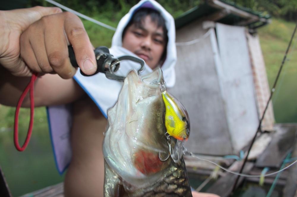 Rapala DT .....ตัวหมาน :cheer: