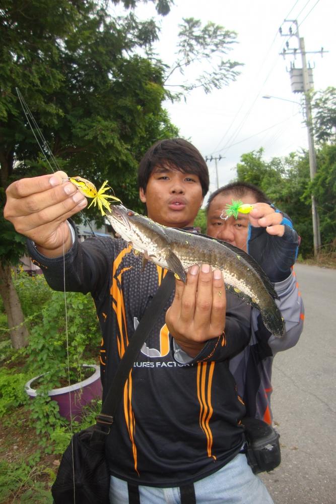 น้าเอกเปลี่ยนเหยื่อใหม่อีกแล้ว...+++ :laughing: :laughing: :cheer: :cheer: :cheer: :cheer:
