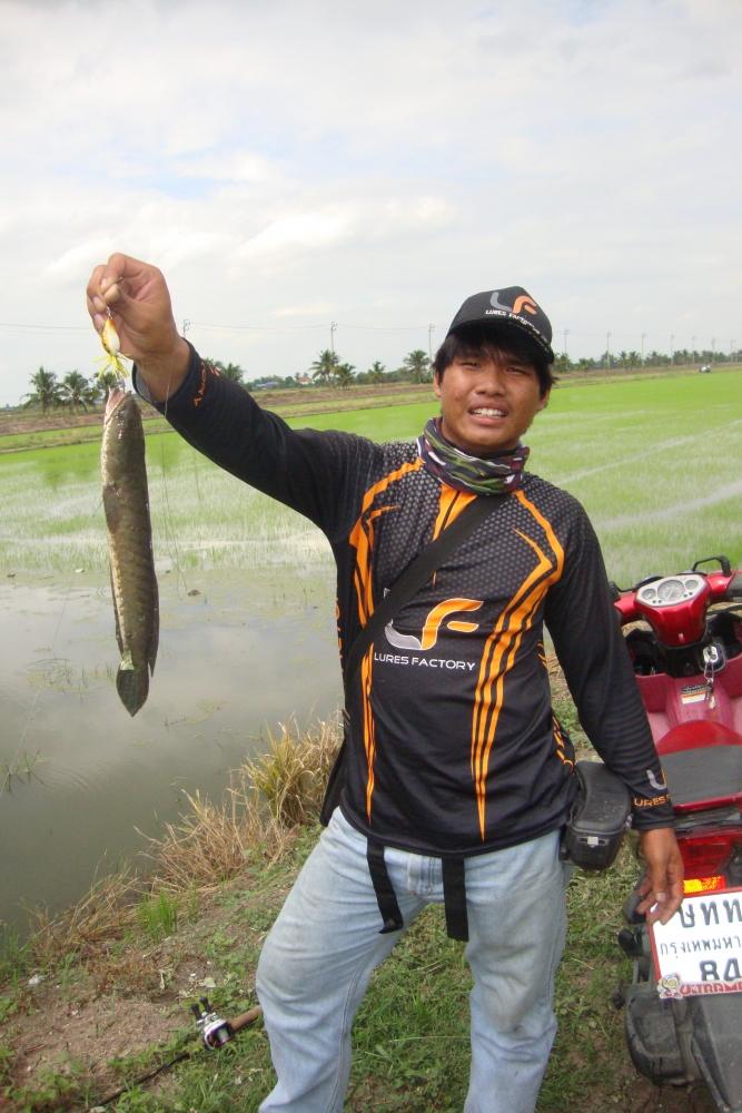 มันบอกตีไงก็โดน เขย่าๆโดน smooth frog พระเอกของงานเลยวันนี้...+++ :love: :love: :love: :love: :love: