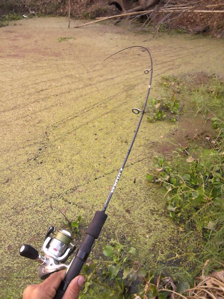 okuma nemesia 2-6 lb