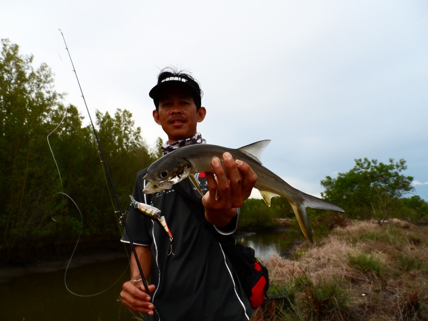 


นวลจันทร์ กับเหยื่อ bx jointed minnow 8 cm  :love: :love: :love:







