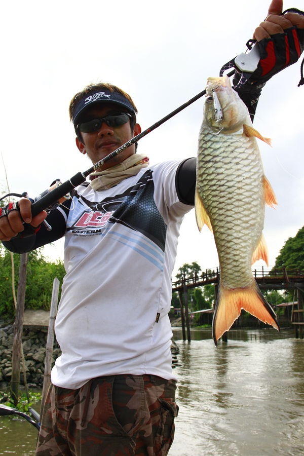 ขออีกรูป 
"ปลากระสูบ" 
คัน...Lito Bass-X 6-14   6.3ฟุต 
รอก...Shimano Stella 2500FE 2010 
สาย.