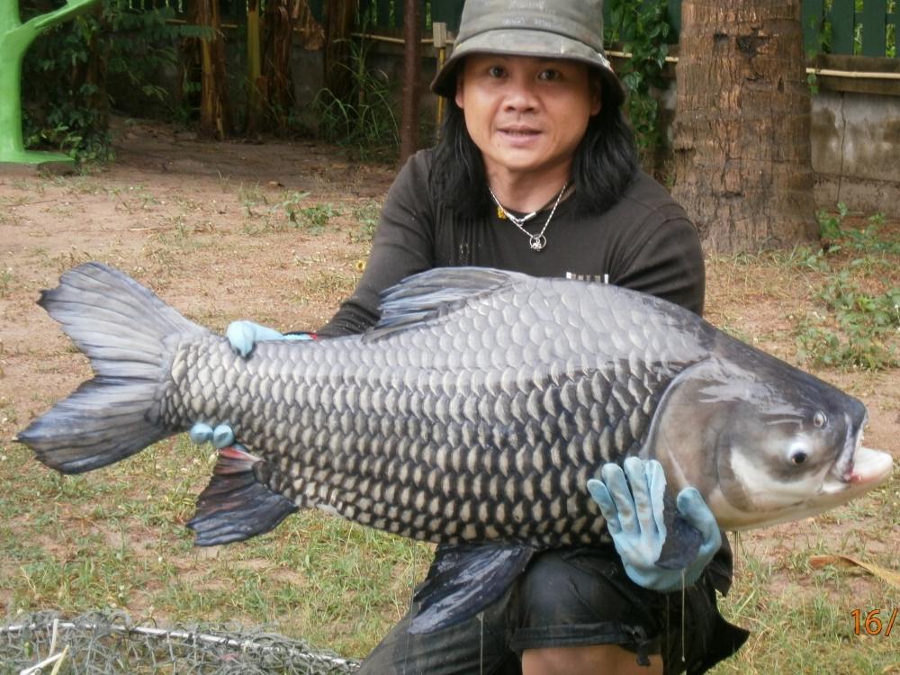 หมายต่อไป HuaHin Fishing Lodge ผมมาที่นี้บ่อยมากครับน้า๚ ไกลบ้านแม่ยายผม เลยมาตกที่นี้บ่อยครับน้า ที