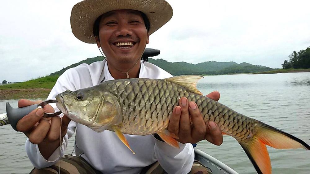 คนได้ครับ ยิ้มแป้นจนน่าถีบตกเรือ มีถากถางพอให้เลือดซึมๆบ้างเล็กน้อย :laughing: :laughing: