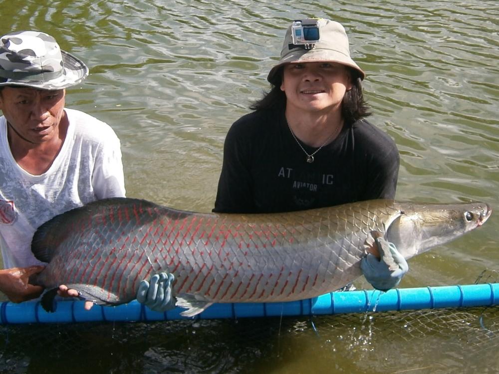 HuaHin Fishing Lodge :cheer: :cheer: