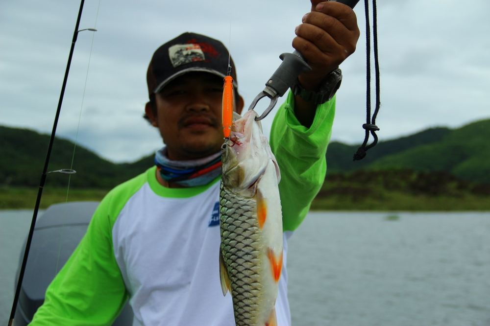 โปรโอก่อนเลย..... :flag: :flag: