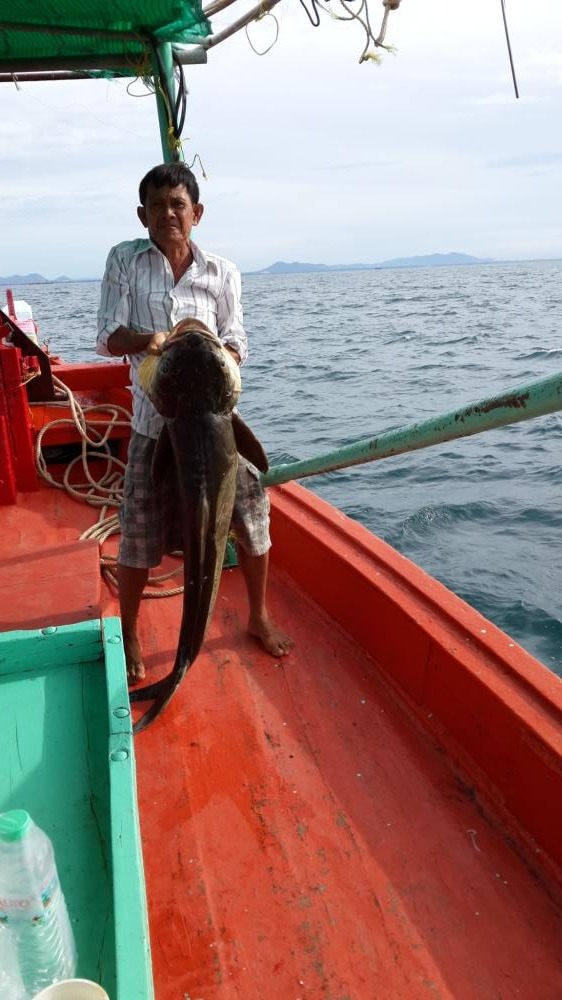 เรือไต๋แก๊ว ครับ ไม่ใช่ดารา แต่ ตะแกเก่งมากครับ