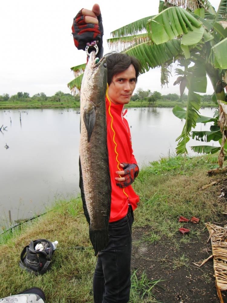+++  น้ายิ้ว  +++
 :cool: :cool: :cool: :cool: :cool: :cool: :cool: