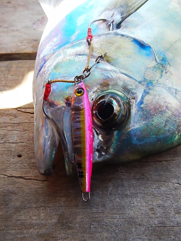 
[center] [b]Rod : St.croix LEGENDXTREME SPINNING ROD LXS76MF2 6 - 12 
Reel : Shimano  Twinpower C