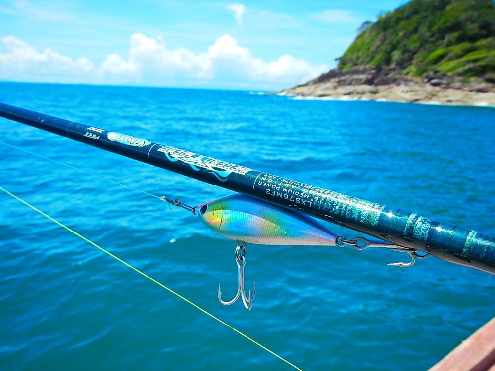
 [center]คันของผมติดเหยื่อที่ปลายสายด้วย SINKING SHAD 70 mm 23 G[/center]

