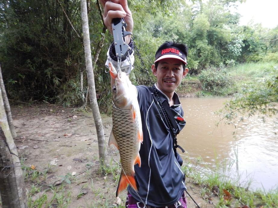  

ขอไกล้ๆชัดครับ 

Rapala maxrap fat minnow 9  :love: :love: :love:





