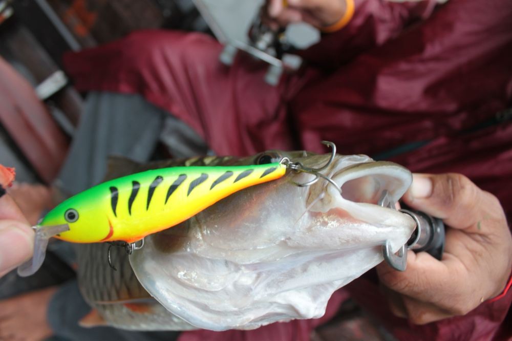 เต็มๆครับ..RAPALA SSR FTG...VERY..HOT :cheer: :cheer: