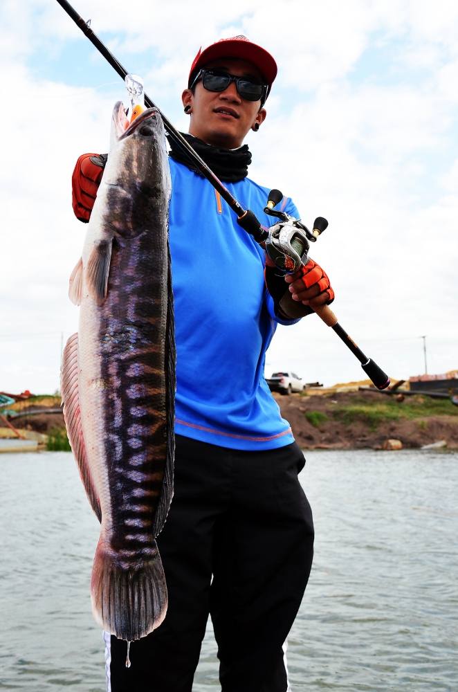 [center]


^^ ชะโด  [b]จิบ [/b] บ่อทราย ^^ 


 [b]Fish : Snake Head Fish

Reel : Shimano Ant