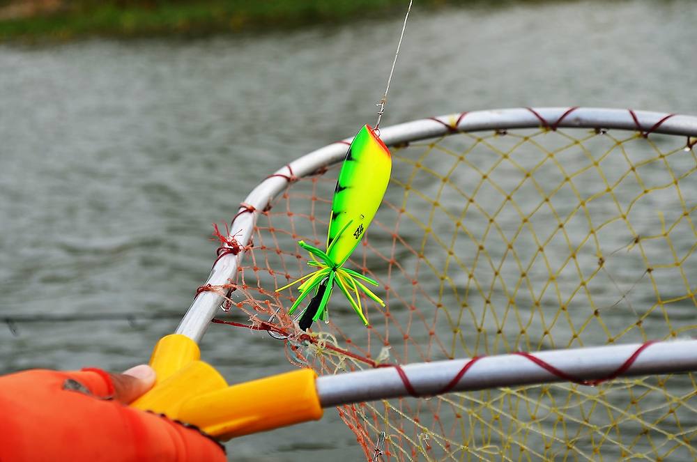  [center]


 [b]Lure : BB Jump Frog 7 cm. [/b]  :heart:


ของเค้าแน่นอนจริง ๆ  :cool:


 :u