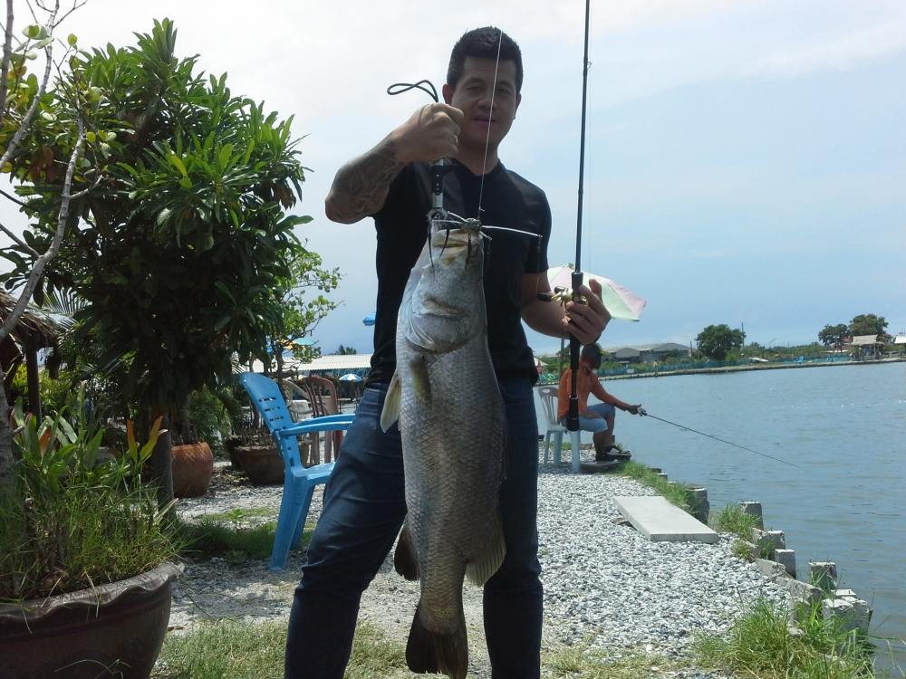 เปิดซิง กระพง กับ น้าหนุ่ยหาดใหญ่