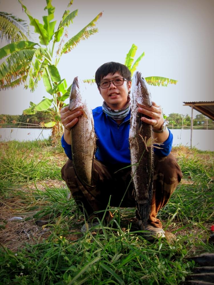 ปลาน้าสี่ ...........