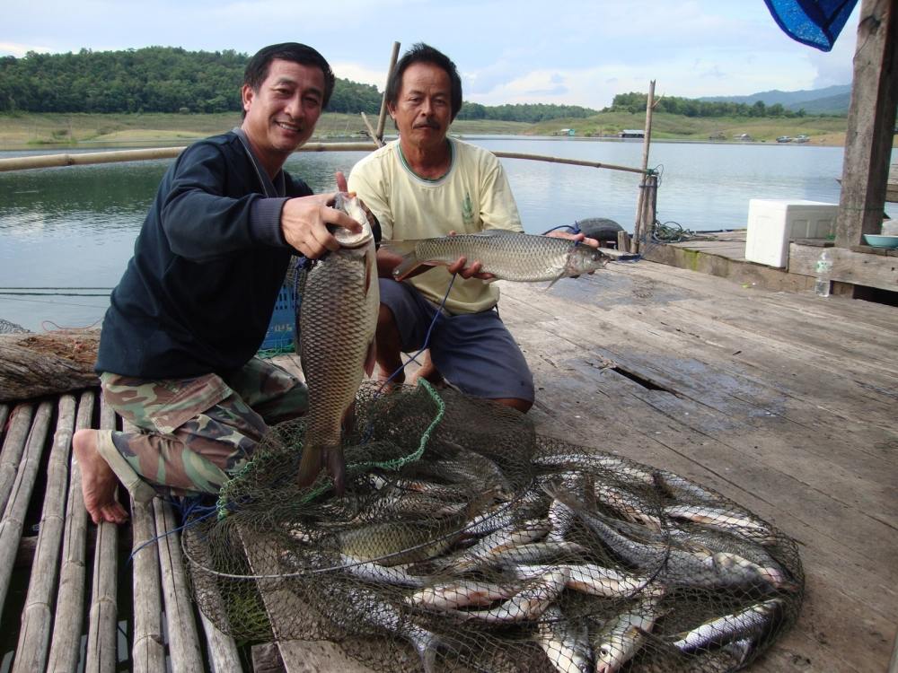 ปลากินทั้งวัน ยี่สกวัยรุ่น กะนวลจันได้แค่นี้เองครับ 
สนใจโทรติดแพลุงพัดได้นะครับ 0821680609 
บอกห้