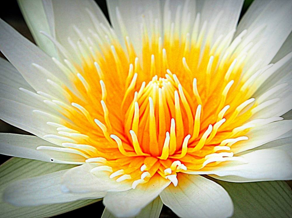 [q][i]อ้างถึง: นักล่าหน้าดิน posted: 16 ก.ย. 57, 09:09[/i]

 :love: :love: :love: :love: :love: :l