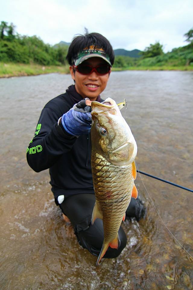 [center]ไม่ได้ตีละเอียดมาก แต่กระสูบก็มีตัวตลอดทางน้ำครับ

คันที่พกไป St.Croix Lengend Inshore 7'