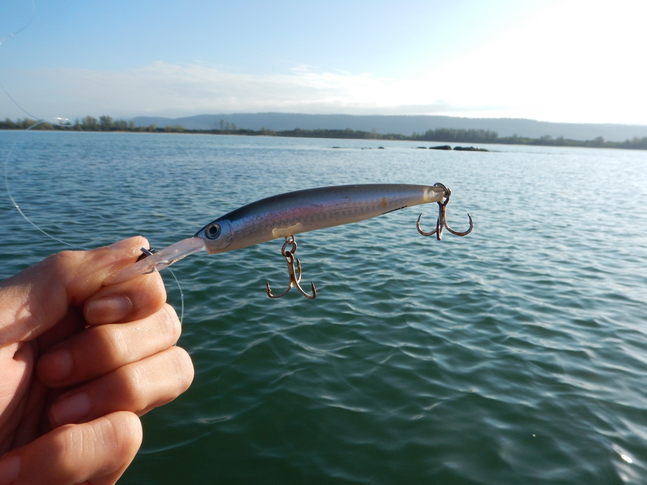 

ลองเอาตัวนี้ออกมาส่องหาดูก่อนครับ rapala maxrap fat minnow 9  :grin: :grin: :grin:






