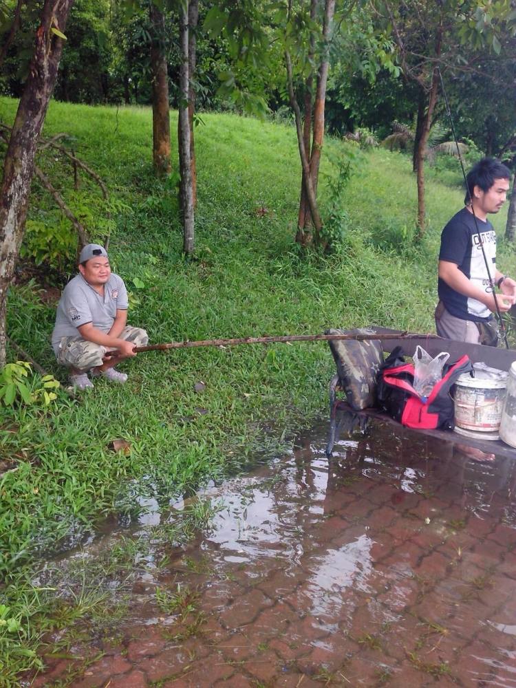 ฝนตกหนักทั้งคืนผมหนีไปนอนในรถตั้งแต่เริ่มตกเบาๆจริงๆมีเต้นท์ไปกลางกันอยู่ผืนนึงครับผมก็นอนกึ่งหลับกึ