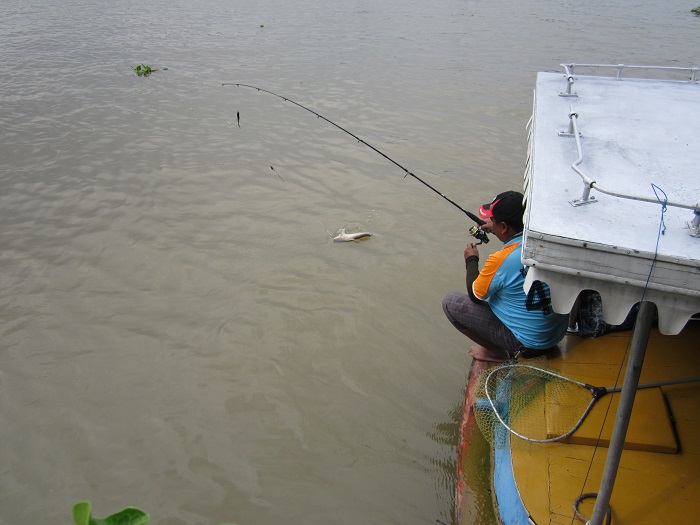 ต้องลงไปเล่นท้ายเรือดีกว่าครับกันปลาพาสายเข้าหางเสือ..ตัวแรกด้วยครับต้องเนียนหน่อย.. :cheer: :cheer: