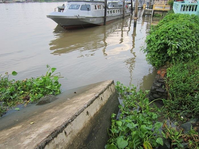 ทำปลาเสร็จหลังฝนหยุด ตอนเย็นผมออกไปเฝ้าปลาตะเพียนที่หมายท่าเรืออีกรอบครับ ตรงนี้เลยครับผมเห็นปลาขึ้น