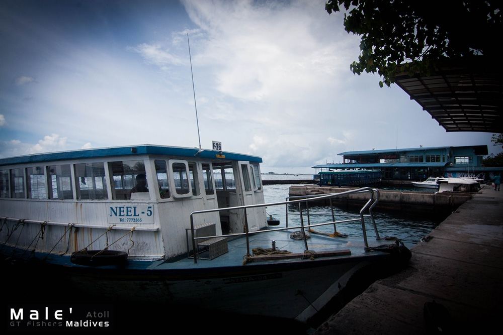 



เรือเทียบท่าที่ Male'  

การคมนาคมของมัลดีฟ ใช้เรือเป็นหลักครับ ด้วยภูมิประเทศของมัลดีฟ เ