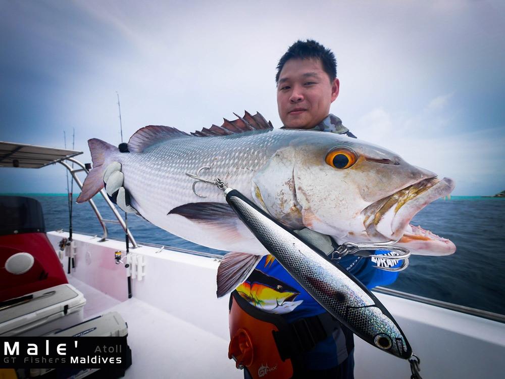 



เจ้าประจำครับ  Red Snapper

 เจ้าตัวนี้สีออกเงินๆ หน่อยครับ  กัดเหยื่อ Aurora Star120  เต็