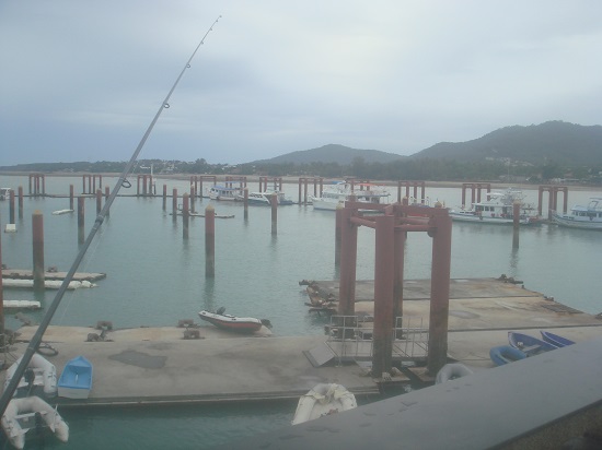  

[center]ที่เดิมครับ ท่าเรือฉลอง!!![/center]
 [center] :grin: :grin: :grin: :grin: :grin: :grin