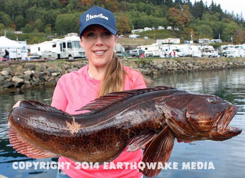 Giant Red Sea Snakehead and Chrome USA! 2014