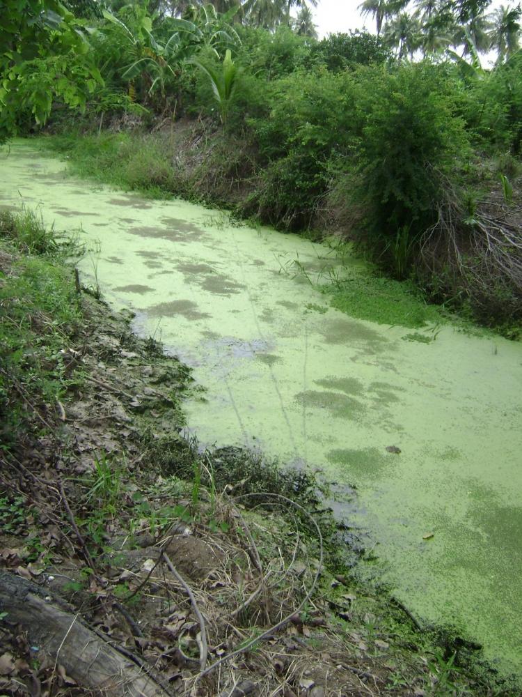 + เป็นหมายสวยที่ไม่ค่อยมีปลา +  :frown: :frown: