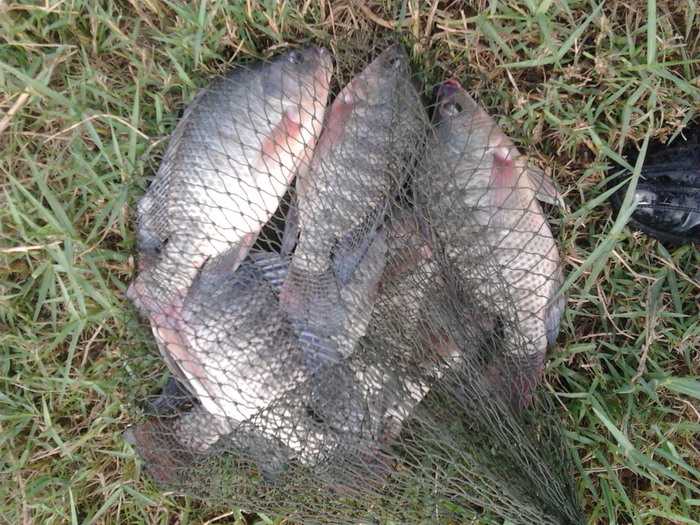  :laughing: :laughing: