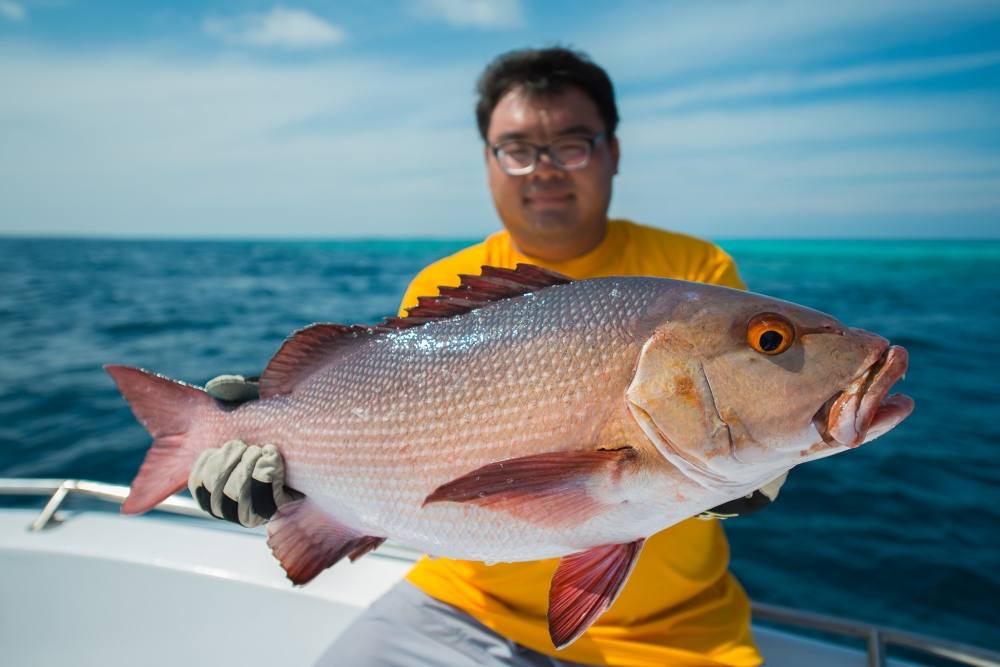 RED One...ปลารับแขกของที่นี่...สู้เบ็ดนี่...คนเย่อเหงื่อหยดเลยล่ะครับ :))