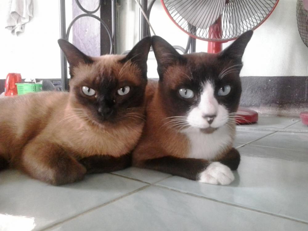 ๊ :grin:สายฟ้า กับเจ้า สายไฟ ครับ :grin: