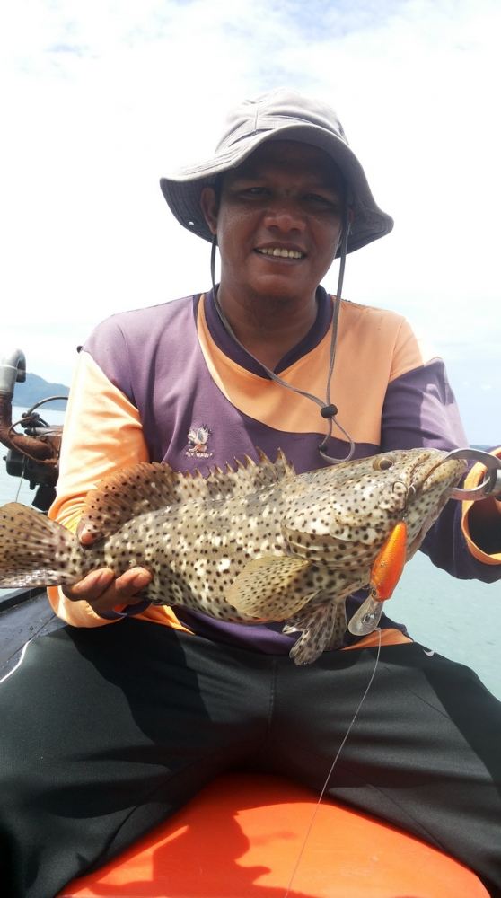 

ปลาเก๋าดอกดำ
Epinephelus malabaricus  (Bloch & Schneider, 1801) 
Malabar grouper 

ดูกัน ชัด