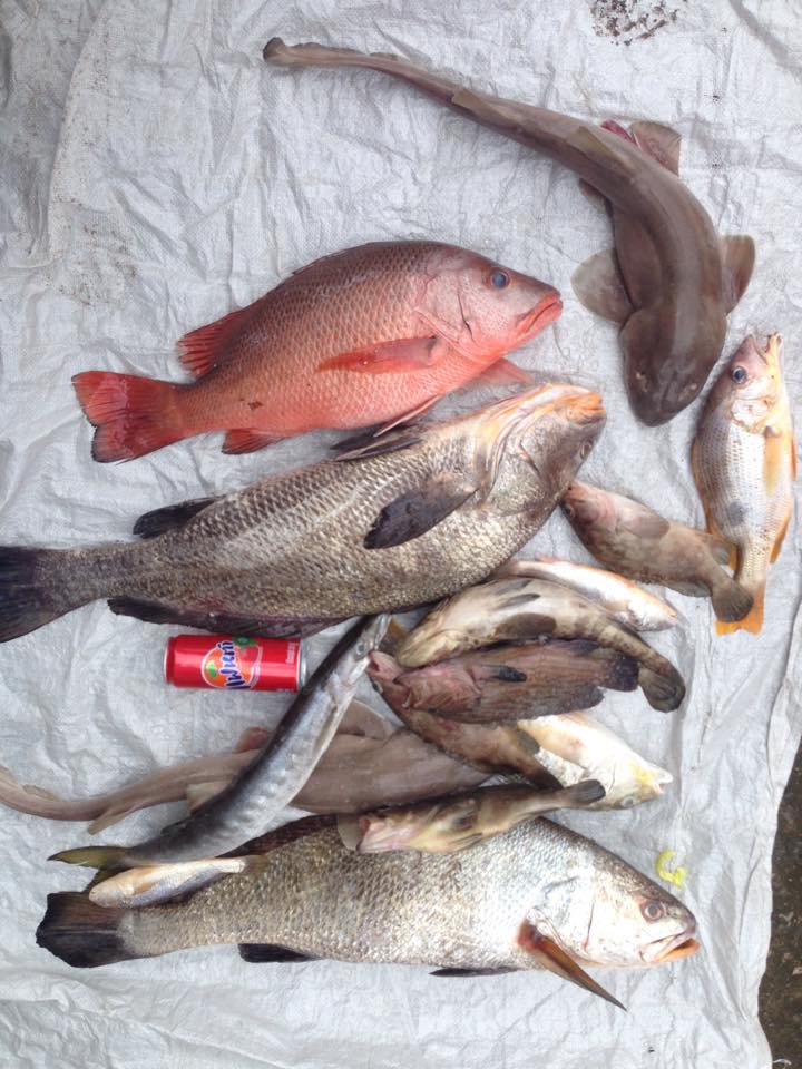 รวมกันครับ