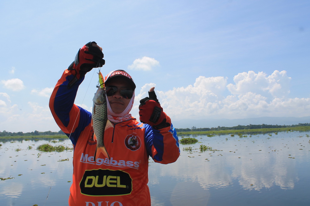  [center] [b]และแล้วกระสูบตัวแรกของทริปนี้ของผมก็มาแล้ววว กิน RAPALA FRAT RAP 8 CM มุมิ มุมิ[/b][/ce