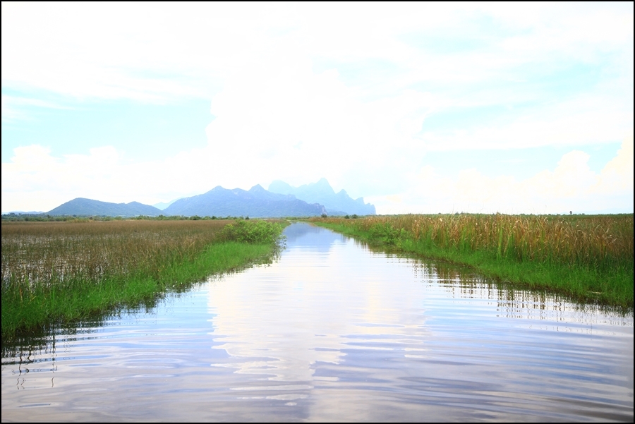 ลมเย็นพัดผ่านไปเย็นสบายมากๆครับ