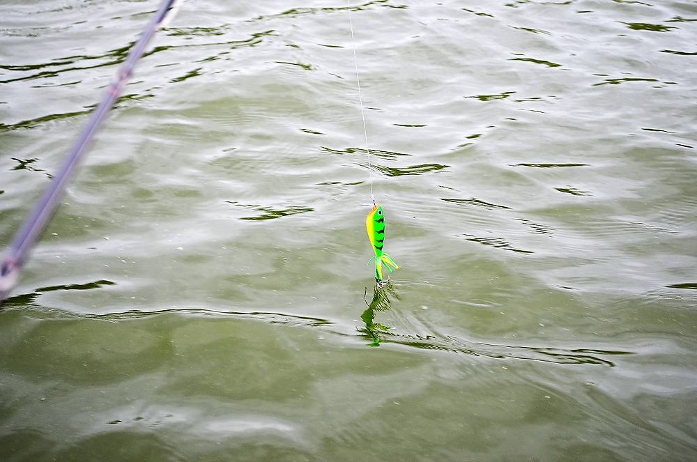 [center]


 [b]BB Jump Frog 7 cm. [/b]  กบกระโดดของพี่ผม


จะเอามาทดสอบกับชะโดใหญ่บ่อทรายทริฟน